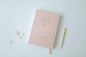 המדריך להנקה יצירתית